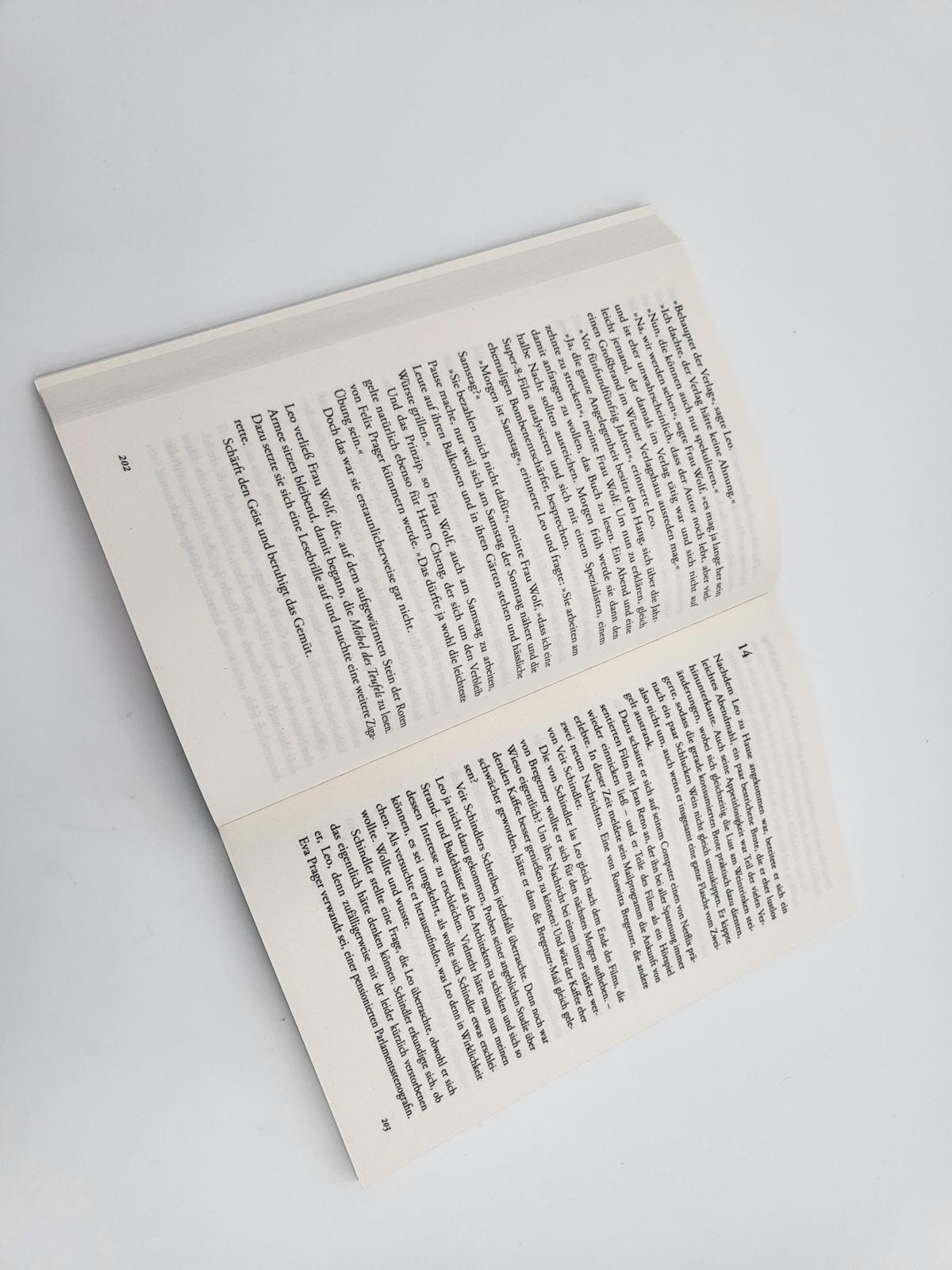 Beispielinhalt (Bild) Die Möbel des Teufels