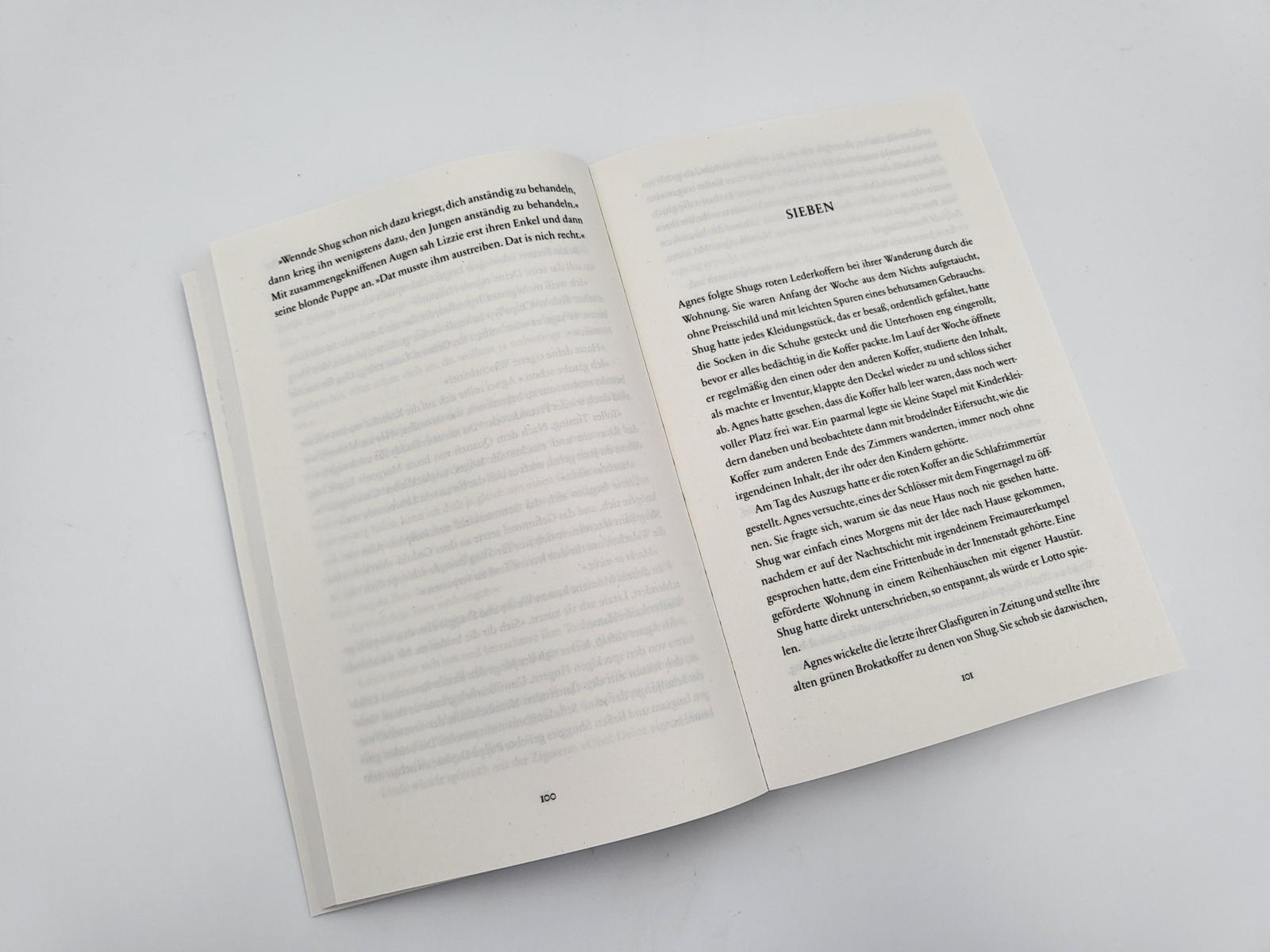 Beispielinhalt (Bild) Shuggie Bain