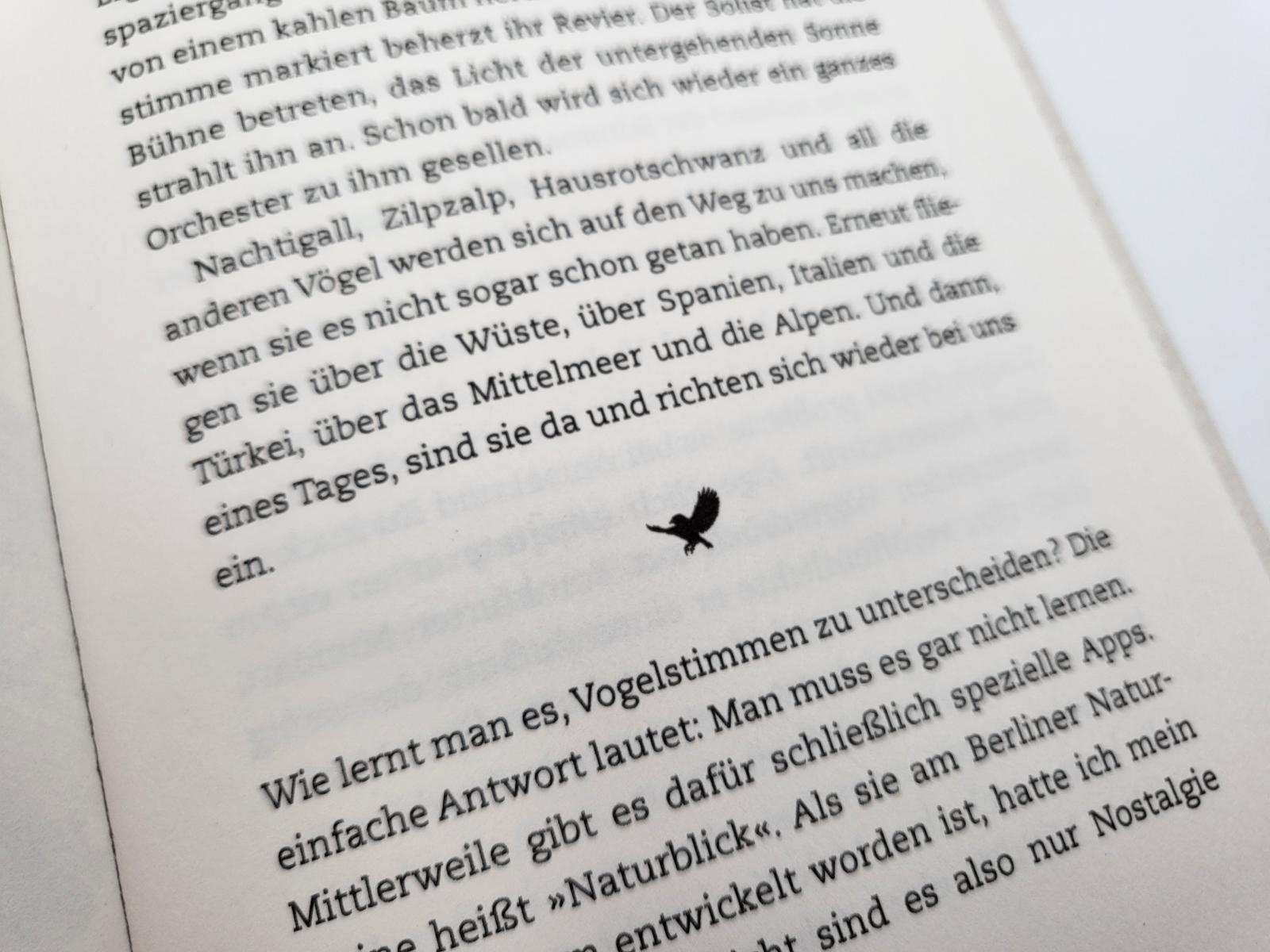 Beispielinhalt (Bild) Wanderer zwischen den Welten