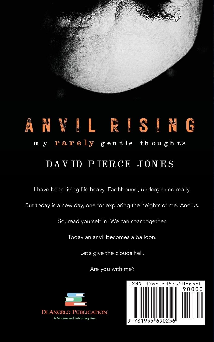 Rückseitencover Anvil Rising