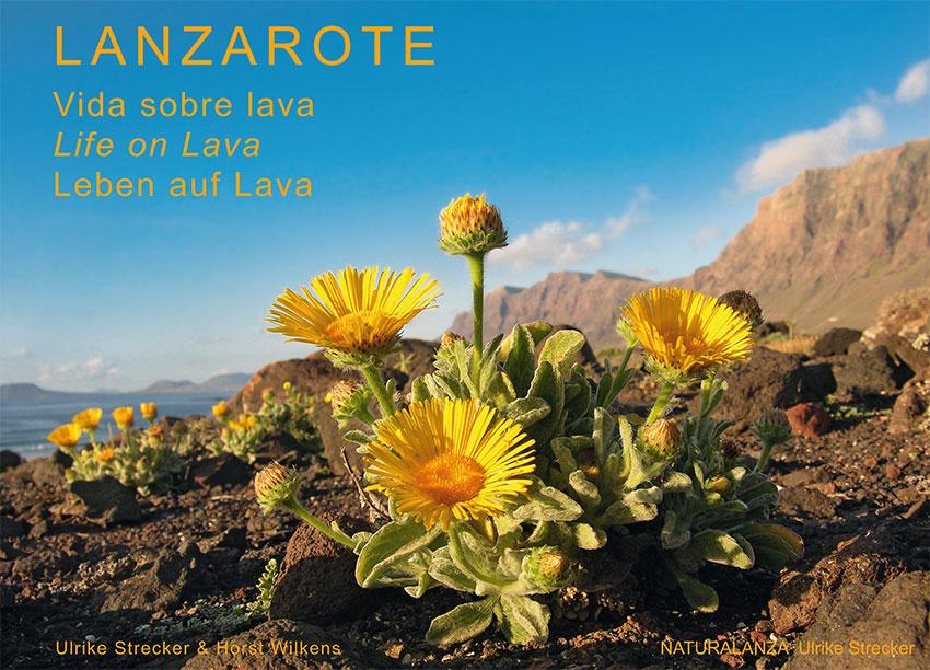 Vorderes Coverbild Lanzarote - Leben auf Lava
