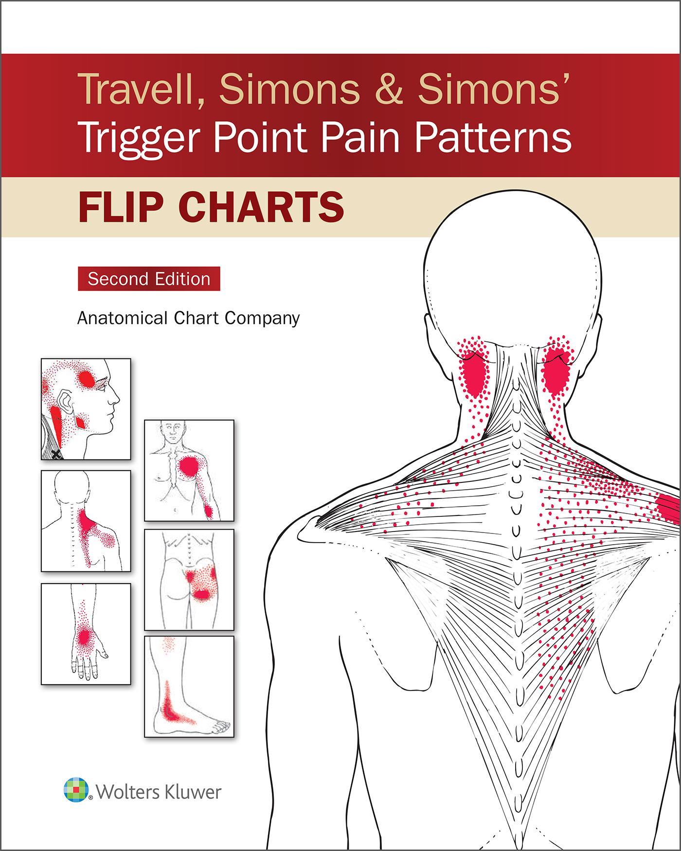 Vorderes Coverbild Travell, Simons & Simons' Trigger Point Pain Patterns Flip Charts