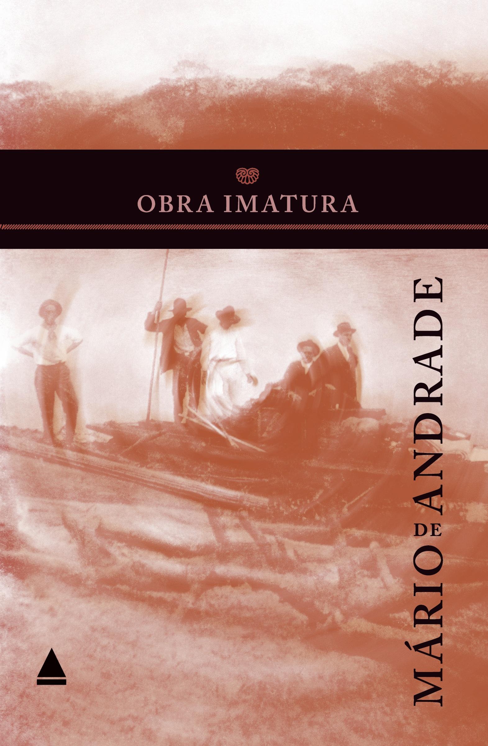 Vorderes Coverbild Obra imatura