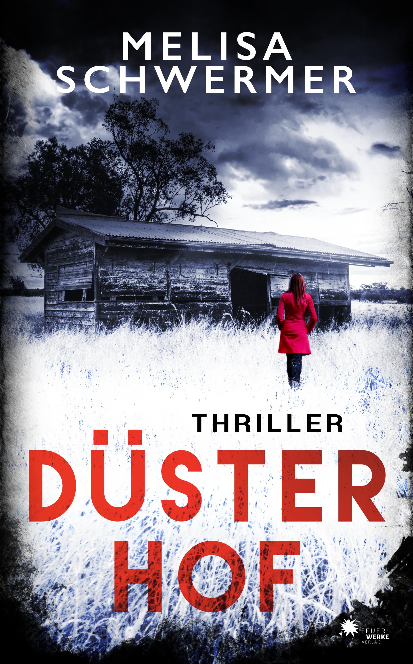 Vorderes Coverbild Düsterhof (Thriller)
