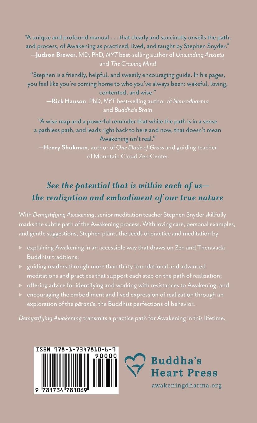 Rückseitencover Demystifying Awakening