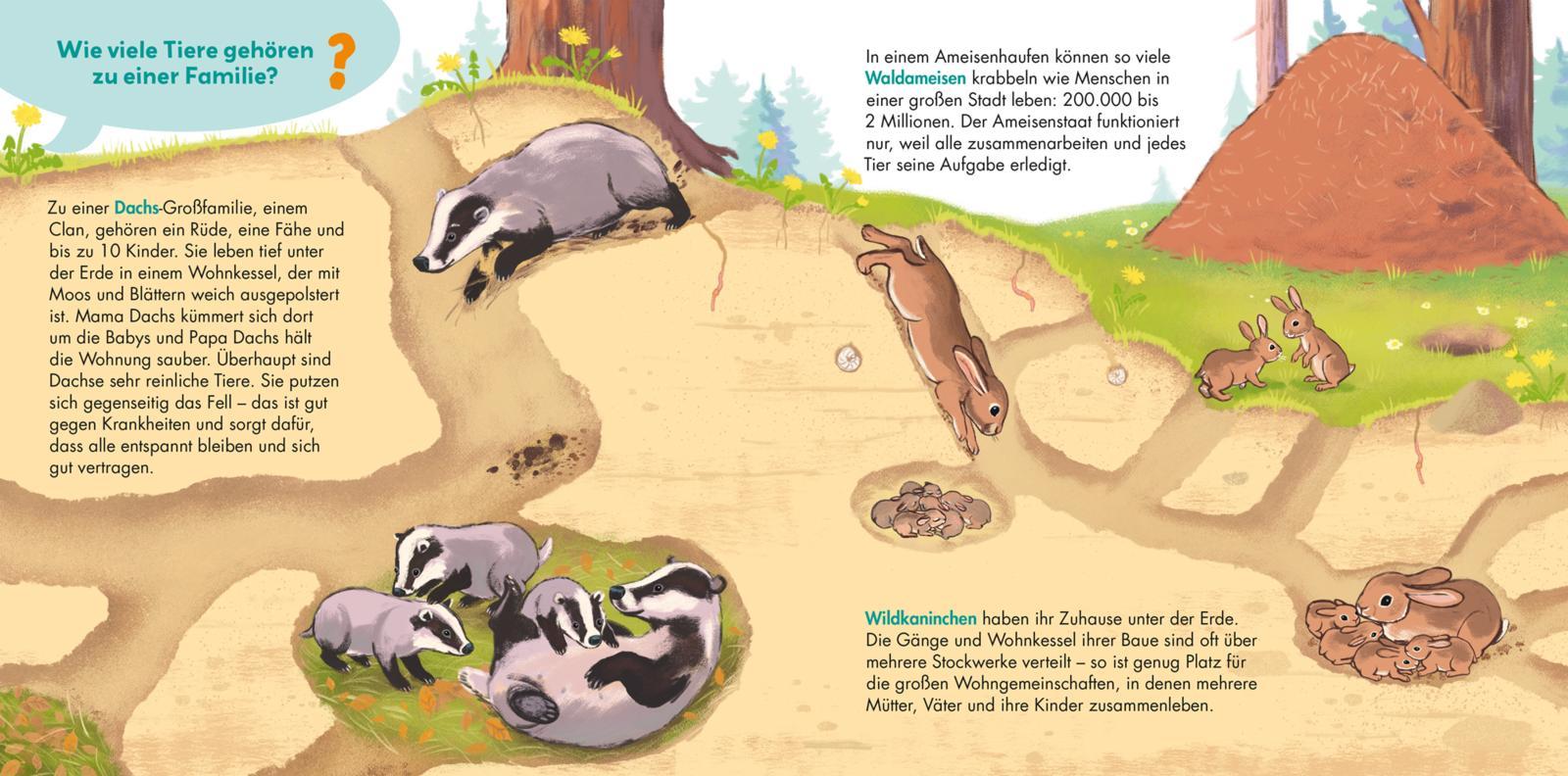 Beispielinhalt (Bild) Frag doch mal ... die Maus: Tiere und ihre Familien