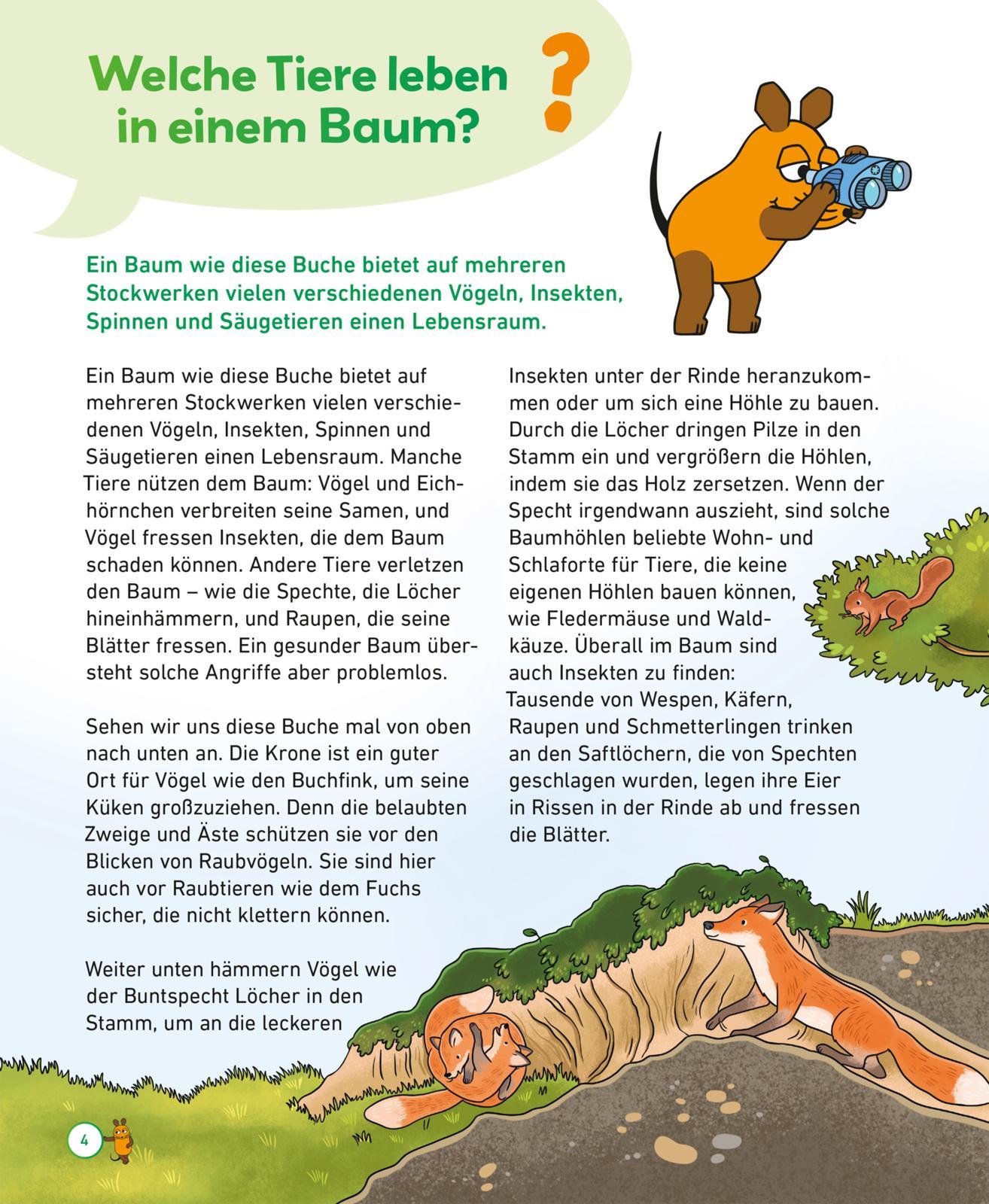 Beispielinhalt (Bild) Frag doch mal ... die Maus: Wald