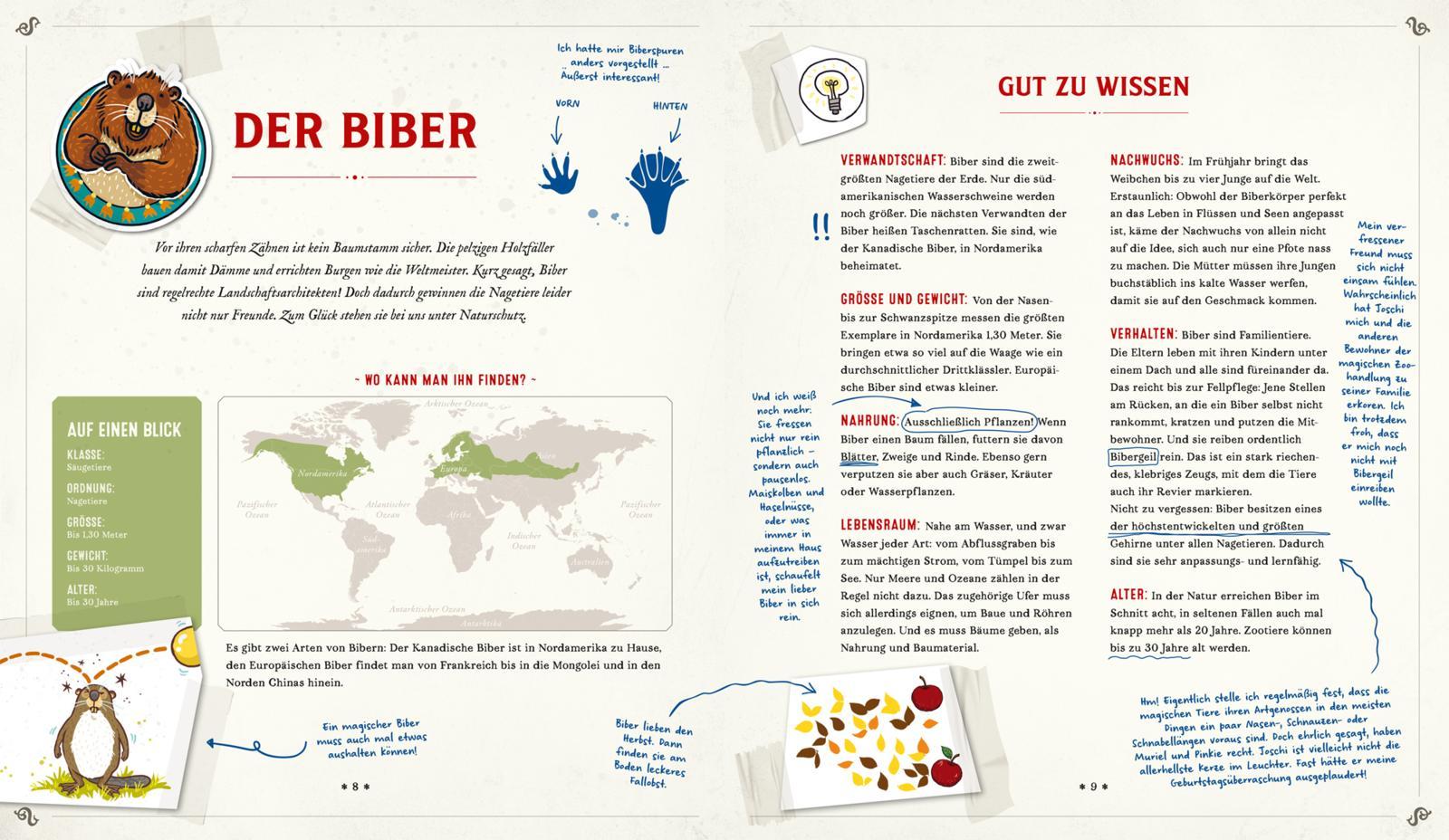 Beispielinhalt (Bild) Die Schule der magischen Tiere: Mister Morrisons gesammeltes Tierwissen