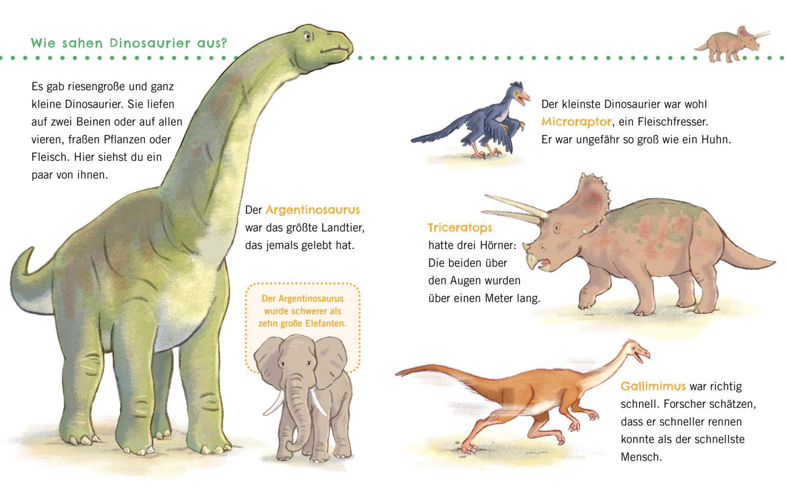 Beispielinhalt (Bild) Unkaputtbar: Erstes Wissen: Dinosaurier