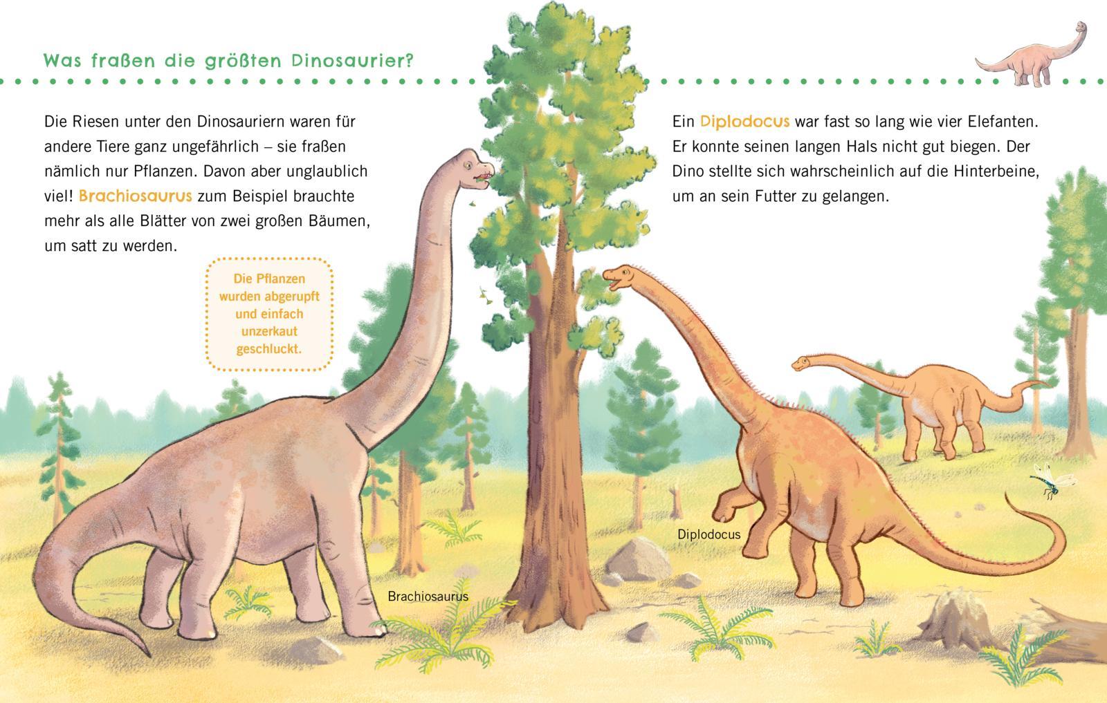 Beispielinhalt (Bild) Unkaputtbar: Erstes Wissen: Dinosaurier