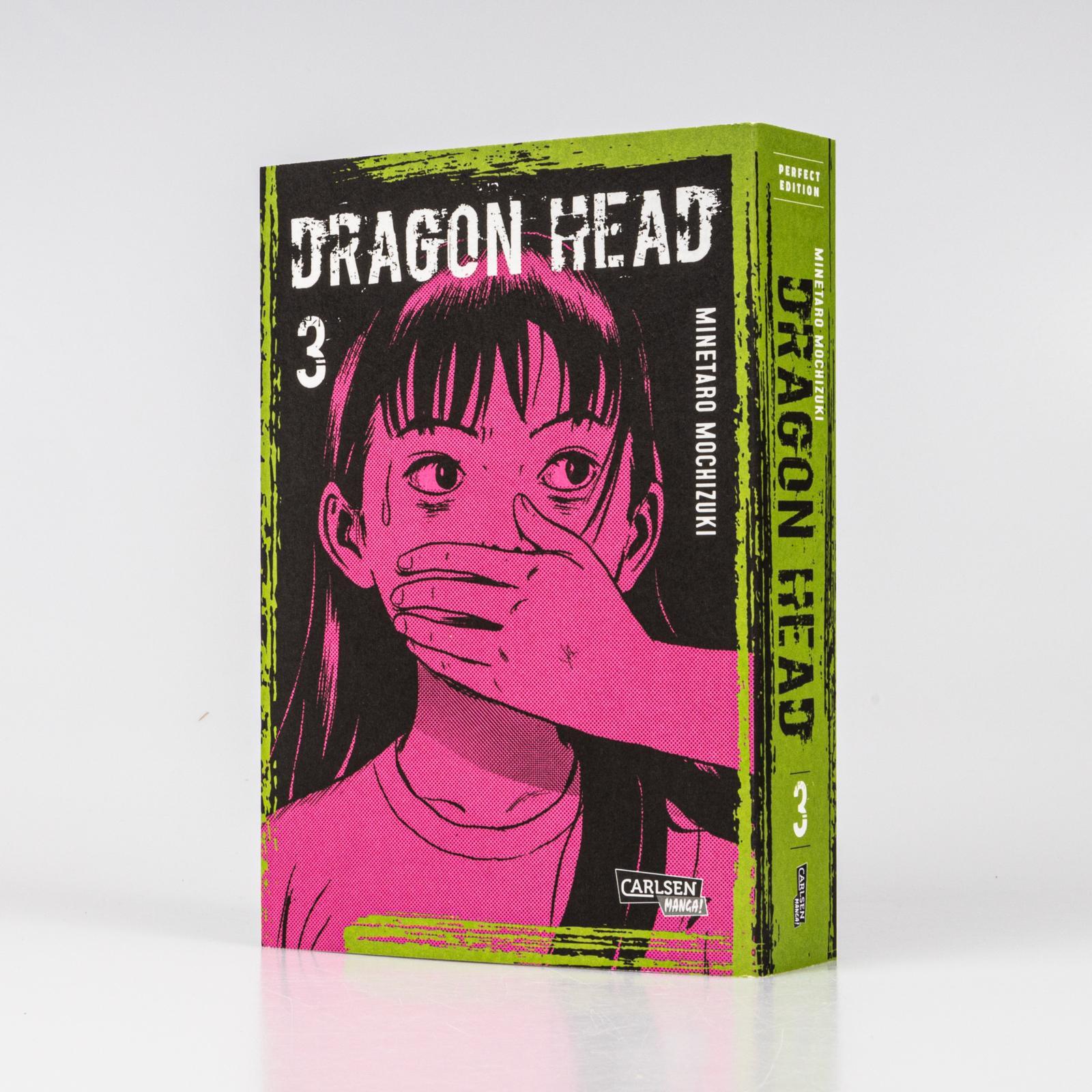 Beispielinhalt (Bild) Dragon Head Perfect Edition 3