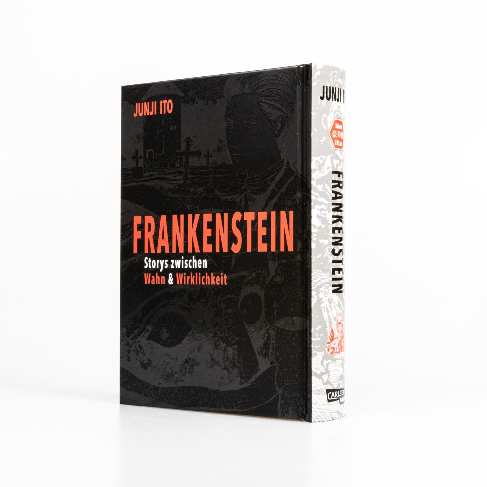 Beispielinhalt (Bild) Frankenstein