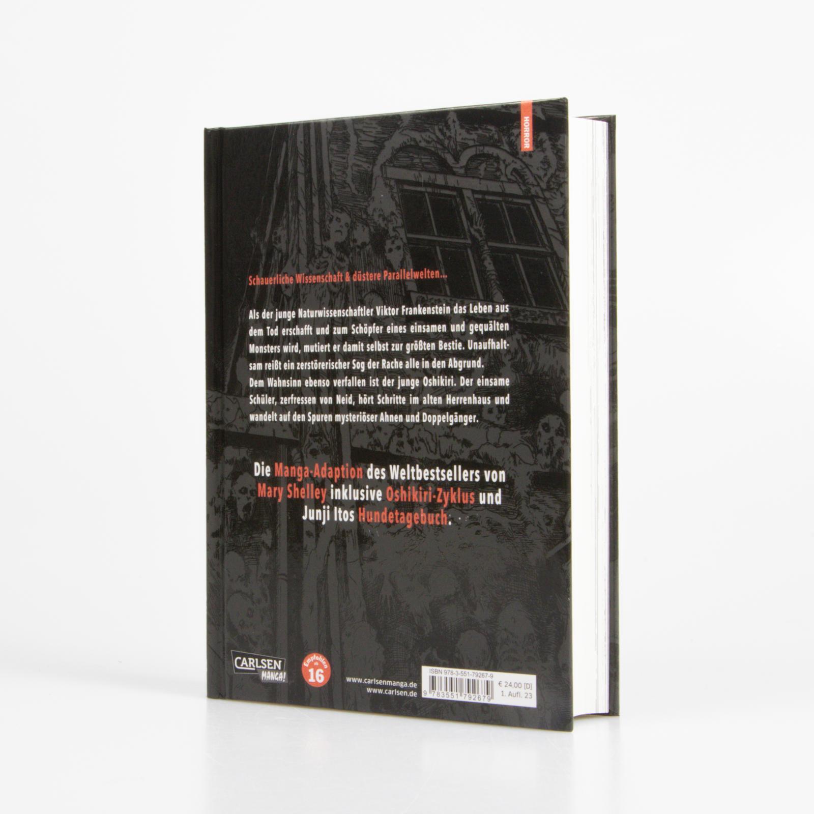 Beispielinhalt (Bild) Frankenstein