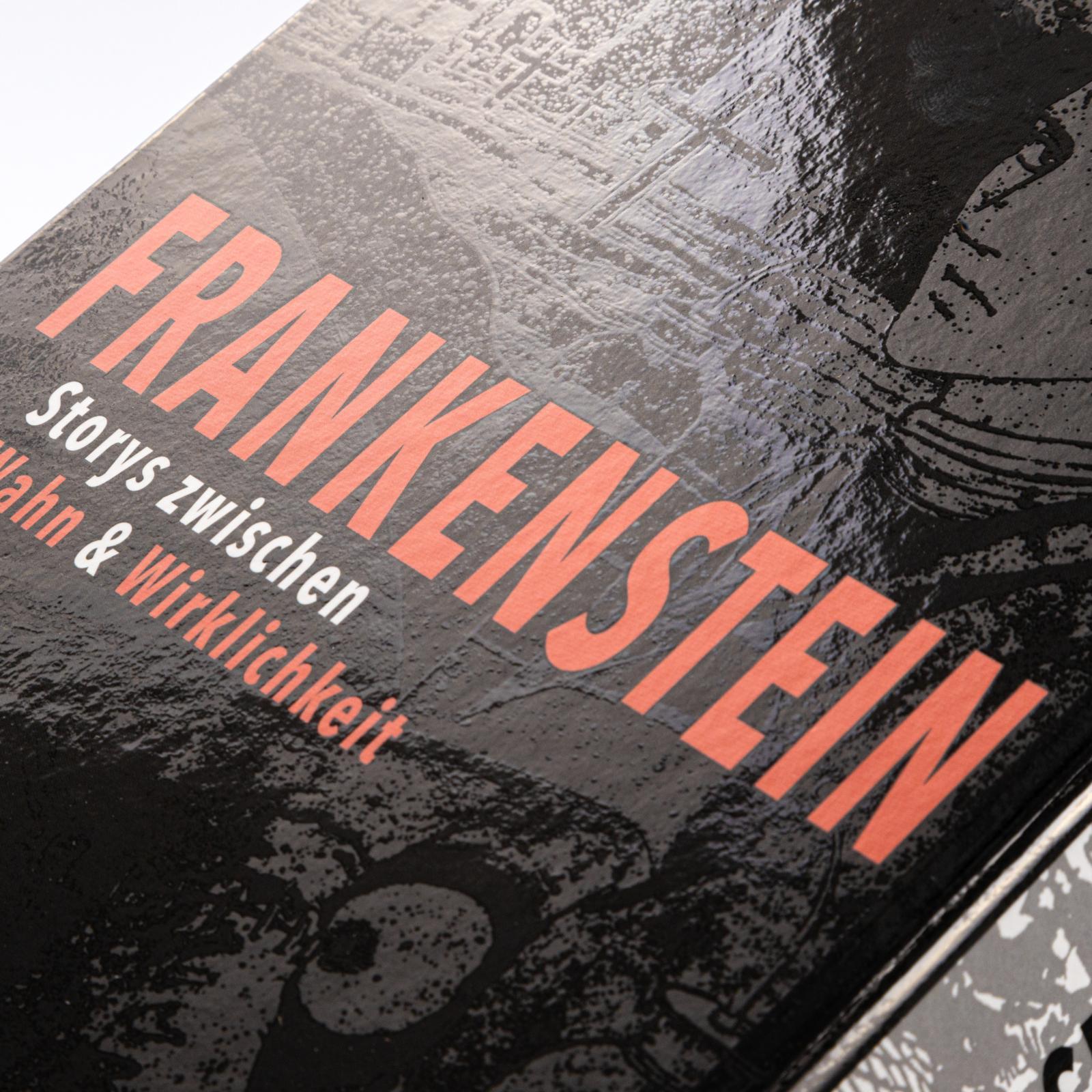 Beispielinhalt (Bild) Frankenstein