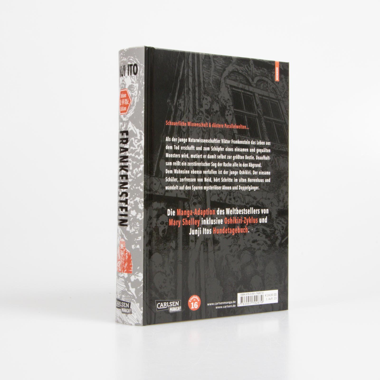 Beispielinhalt (Bild) Frankenstein