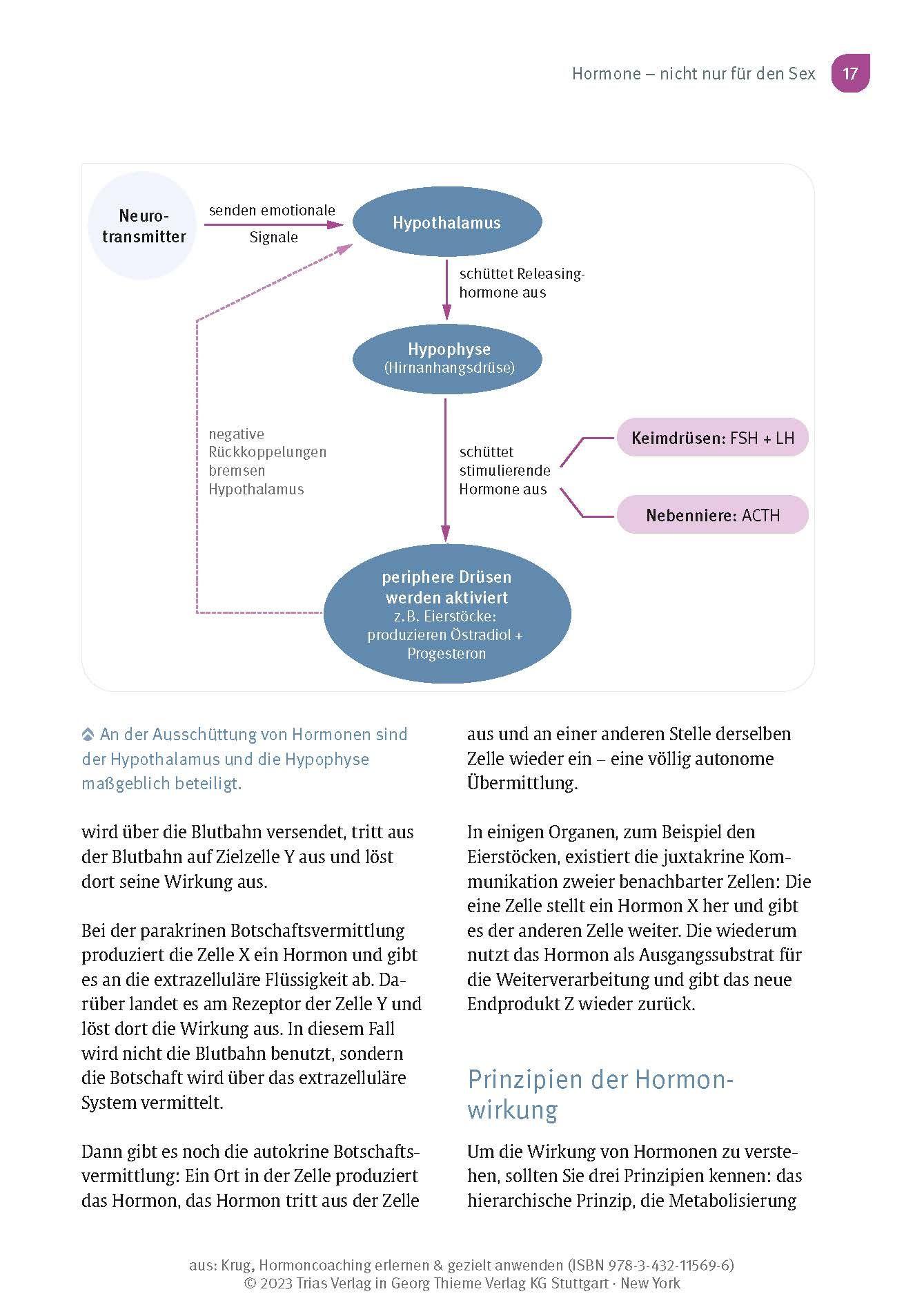 Beispielinhalt (Bild) Hormoncoaching erlernen & gezielt anwenden