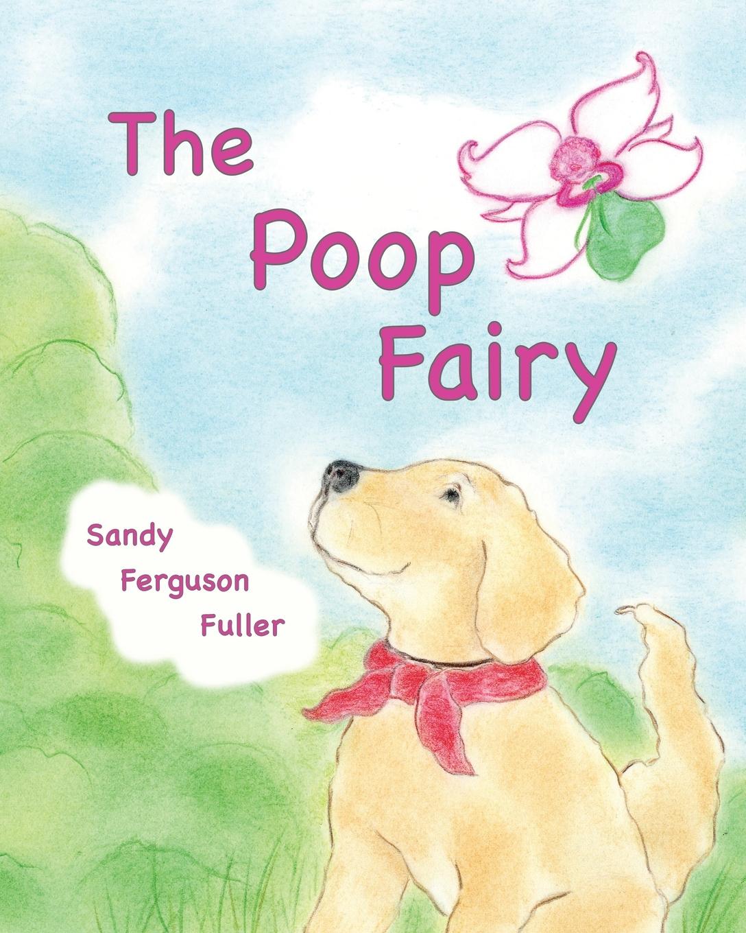 Vorderes Coverbild The Poop Fairy