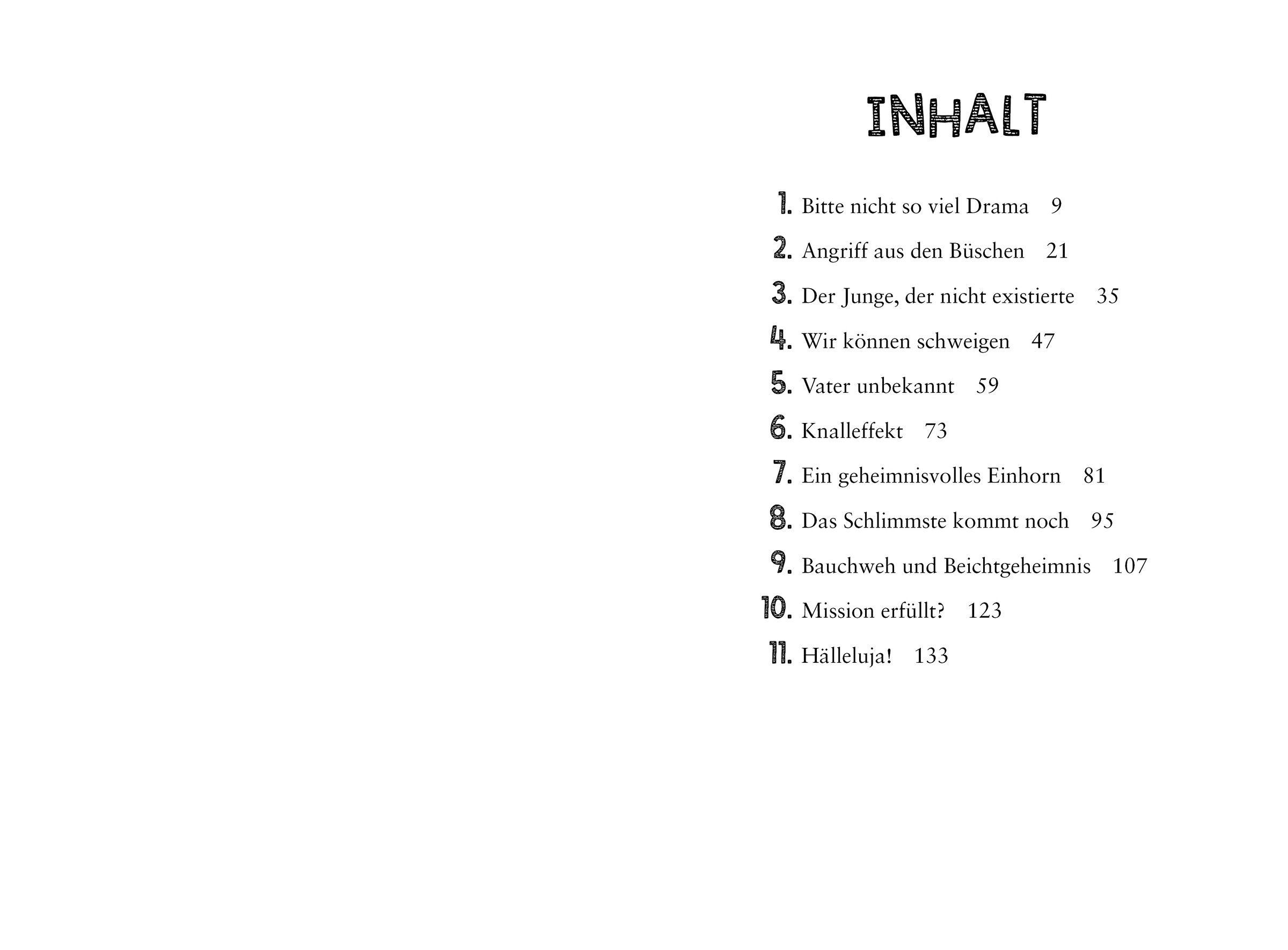 Beispielinhalt (Bild) Die verbotene Mission. Die Koki-Bande