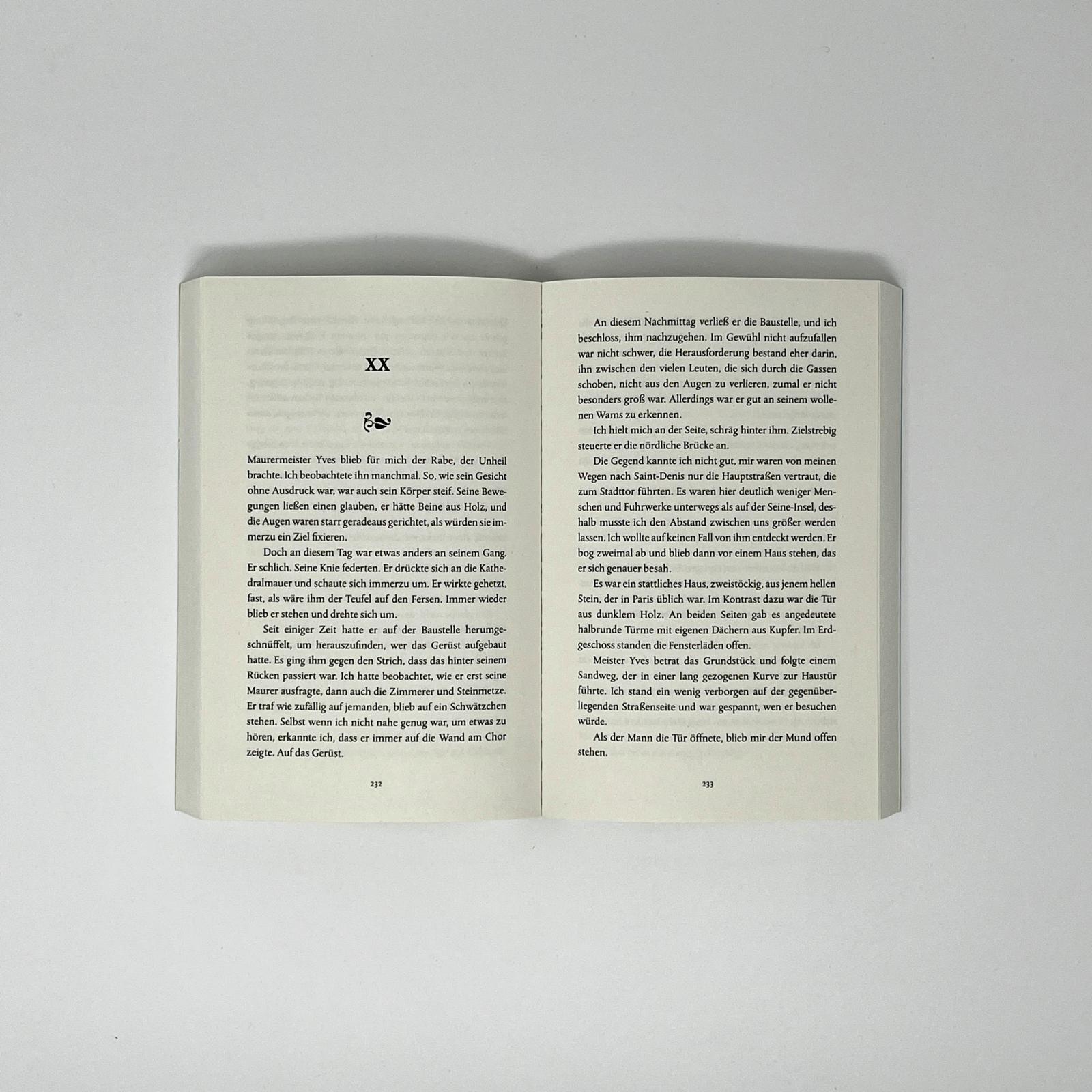 Beispielinhalt (Bild) Das ewige Licht von Notre-Dame