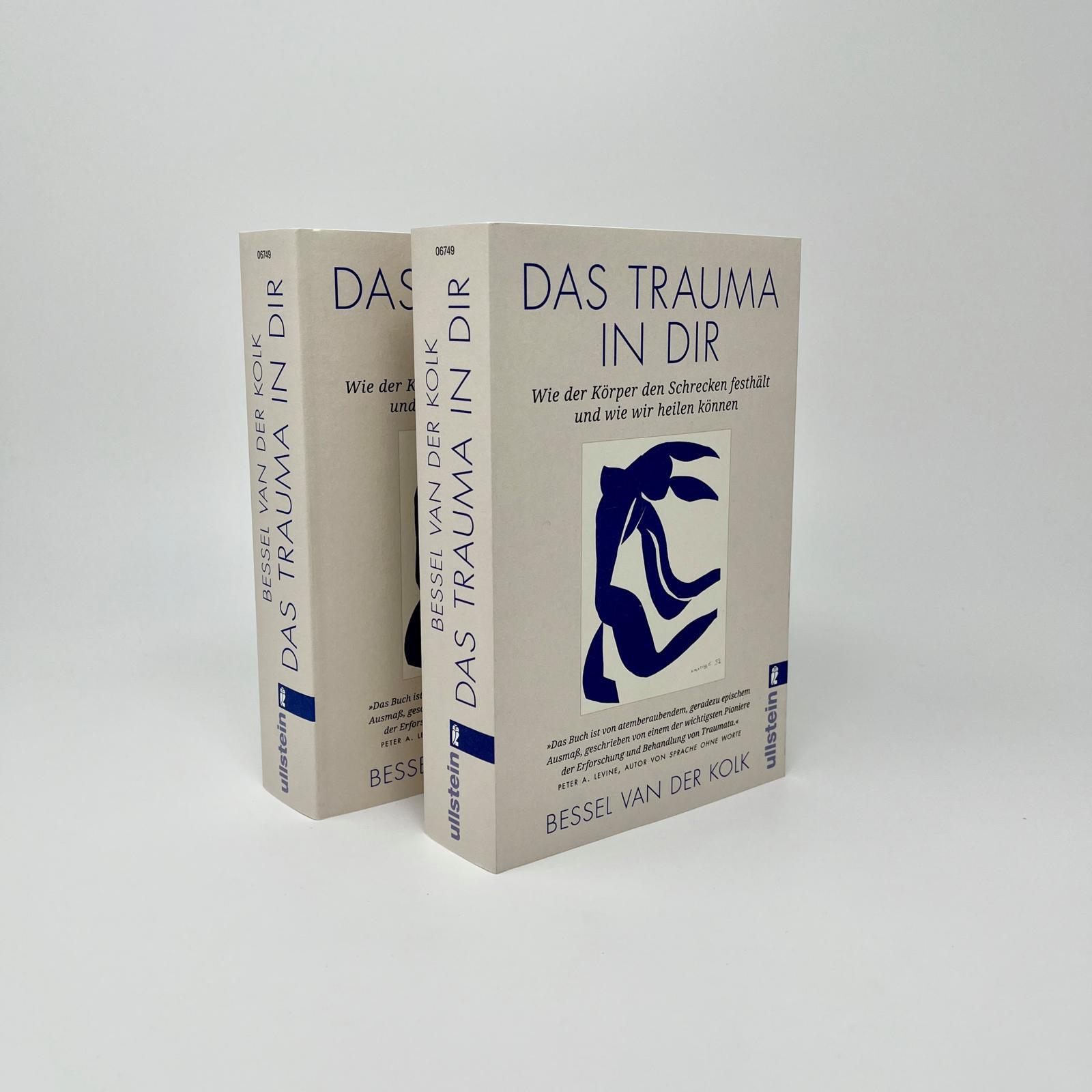 Beispielinhalt (Bild) Das Trauma in dir