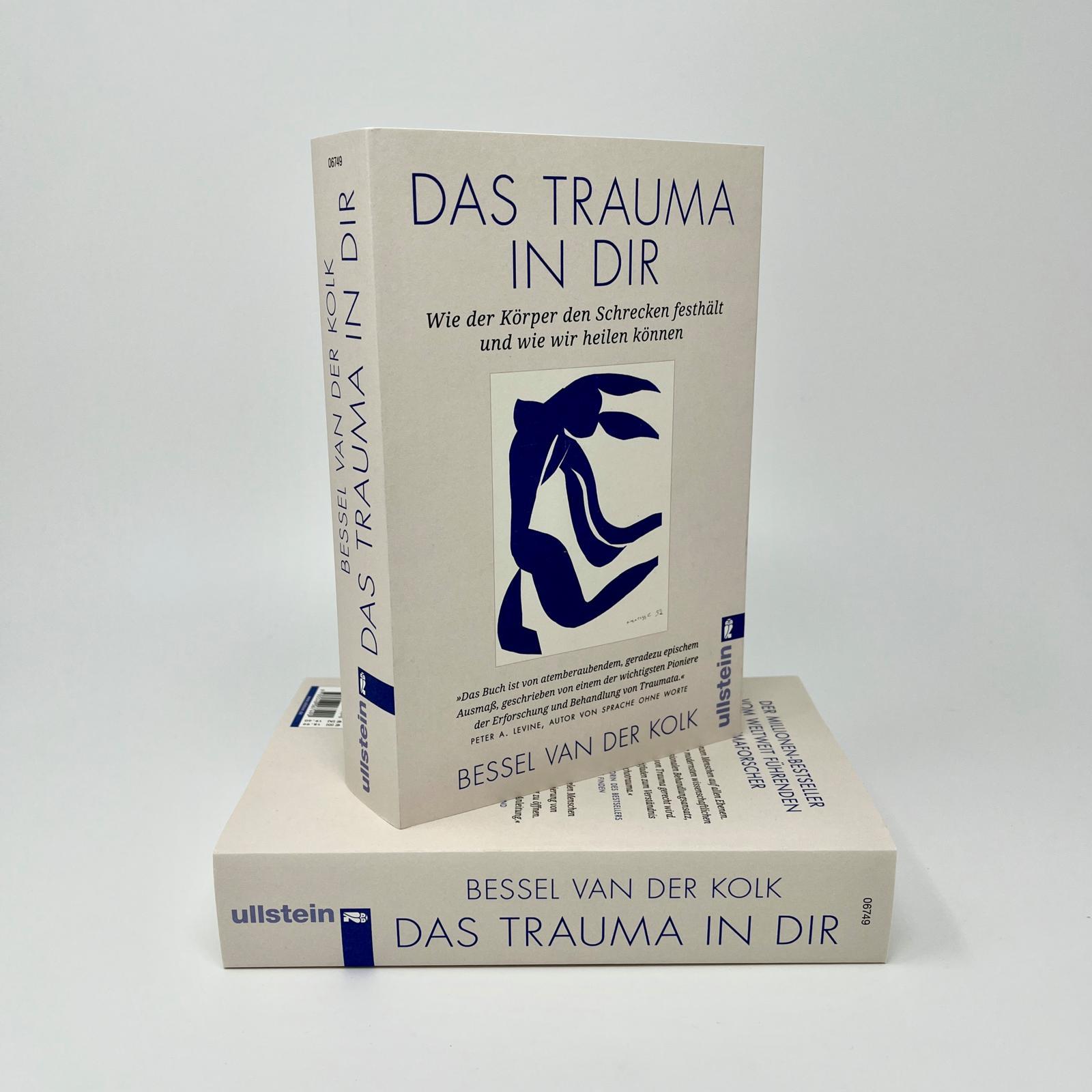 Beispielinhalt (Bild) Das Trauma in dir