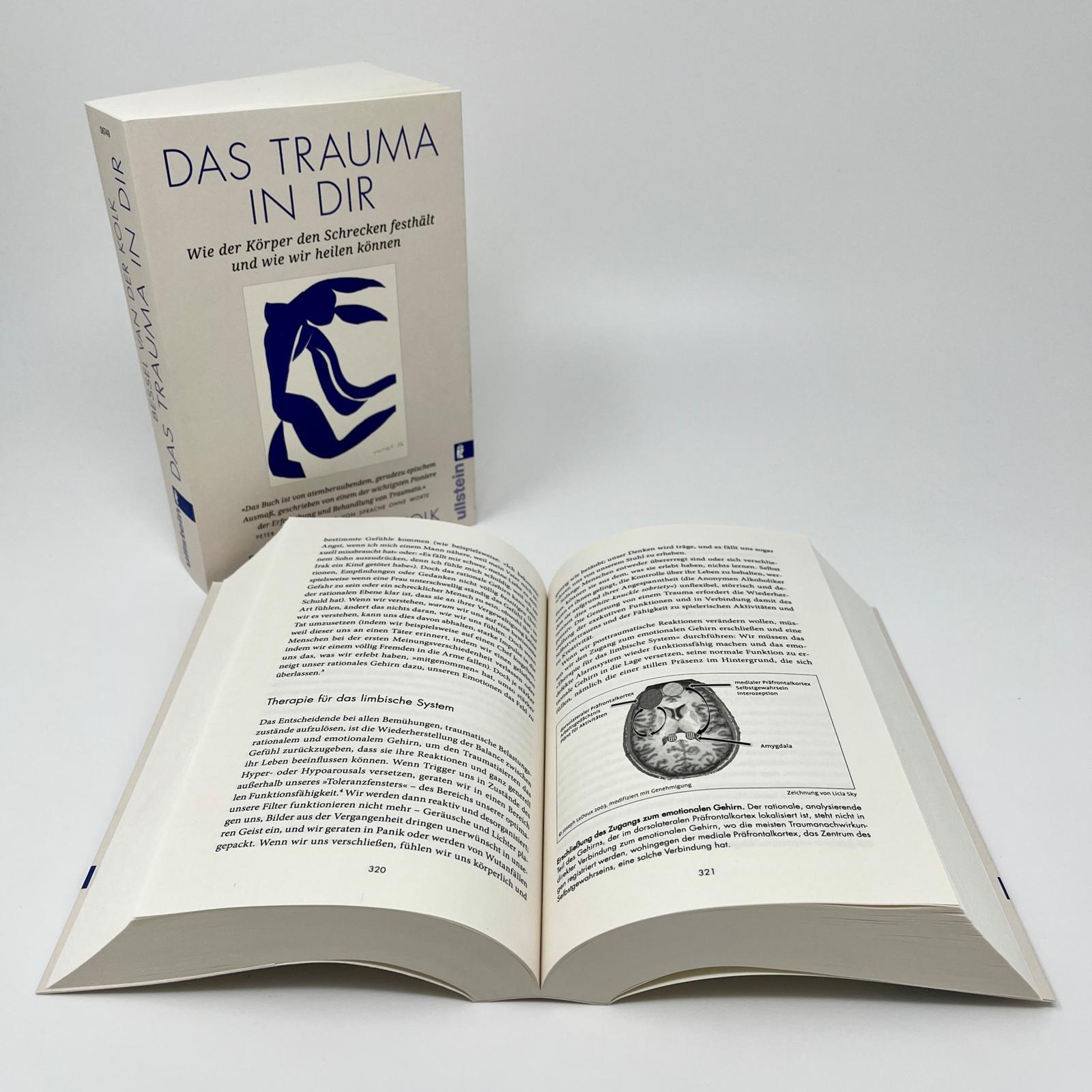 Beispielinhalt (Bild) Das Trauma in dir