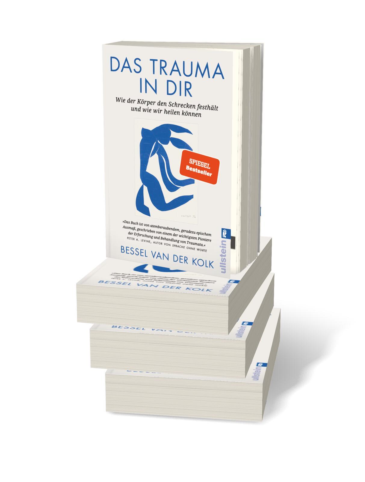 Beispielinhalt (Bild) Das Trauma in dir
