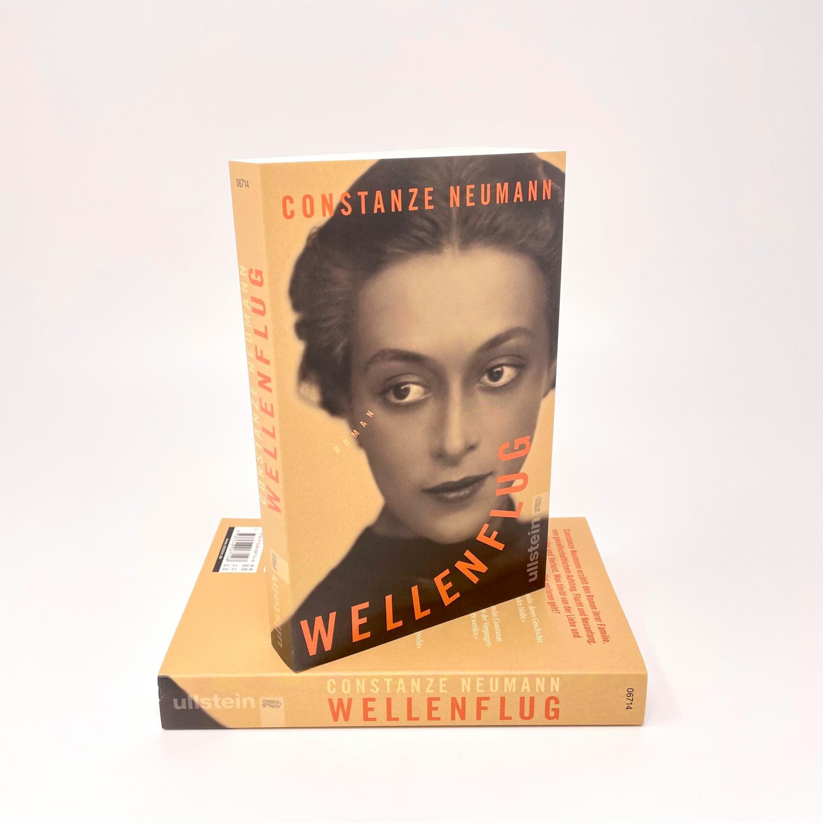 Beispielinhalt (Bild) Wellenflug