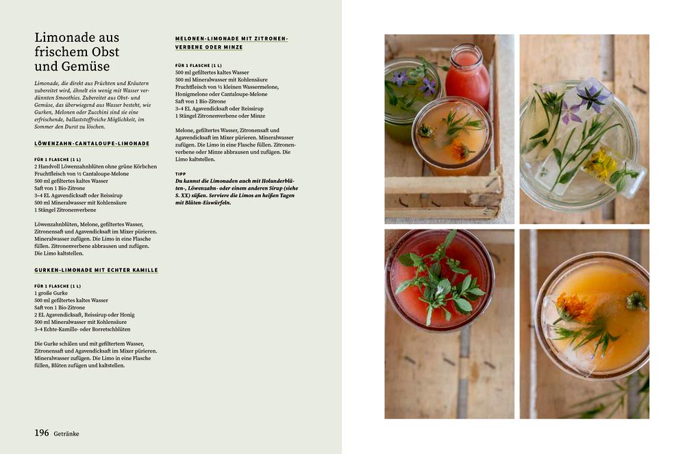 Beispielinhalt (Bild) Meine vegane Speisekammer