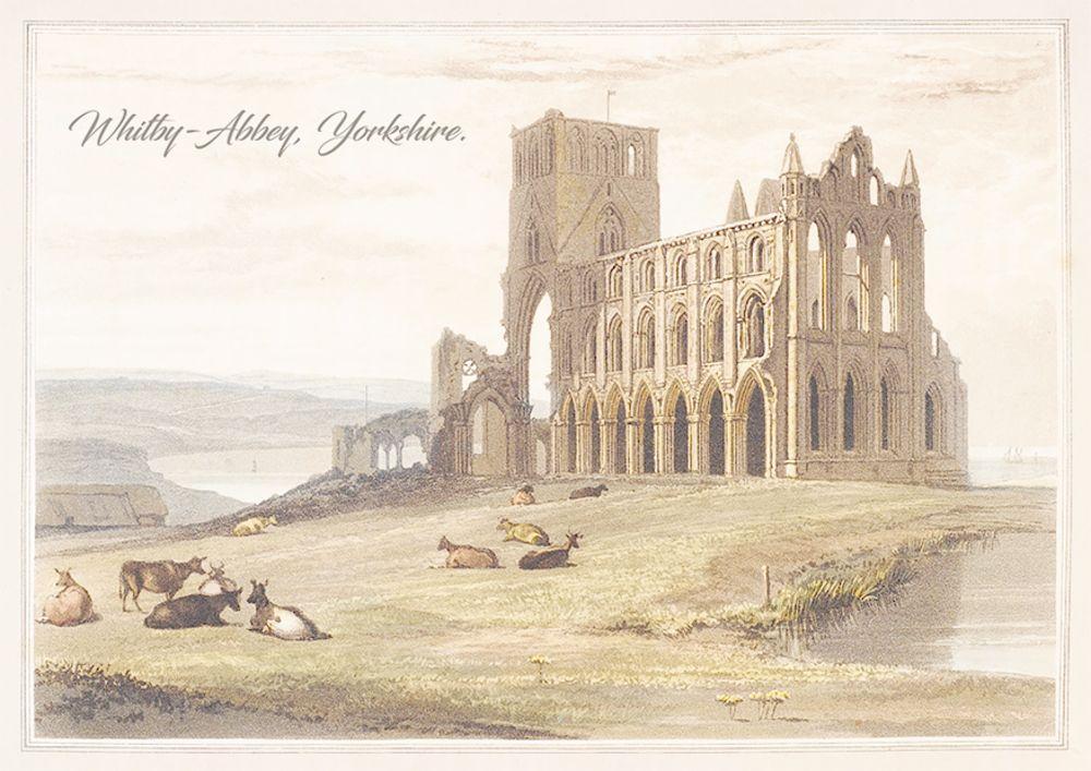 Beispielinhalt (Bild) Dracula