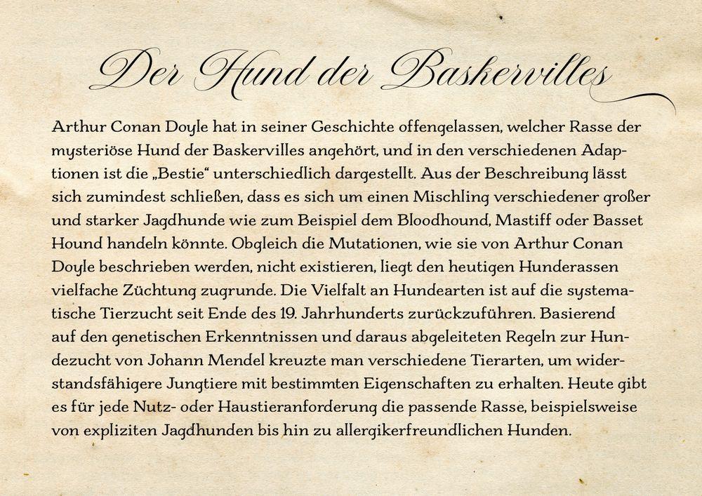 Beispielinhalt (Bild) Sherlock Holmes Bd. 4