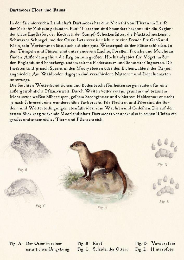 Beispielinhalt (Bild) Sherlock Holmes Bd. 4