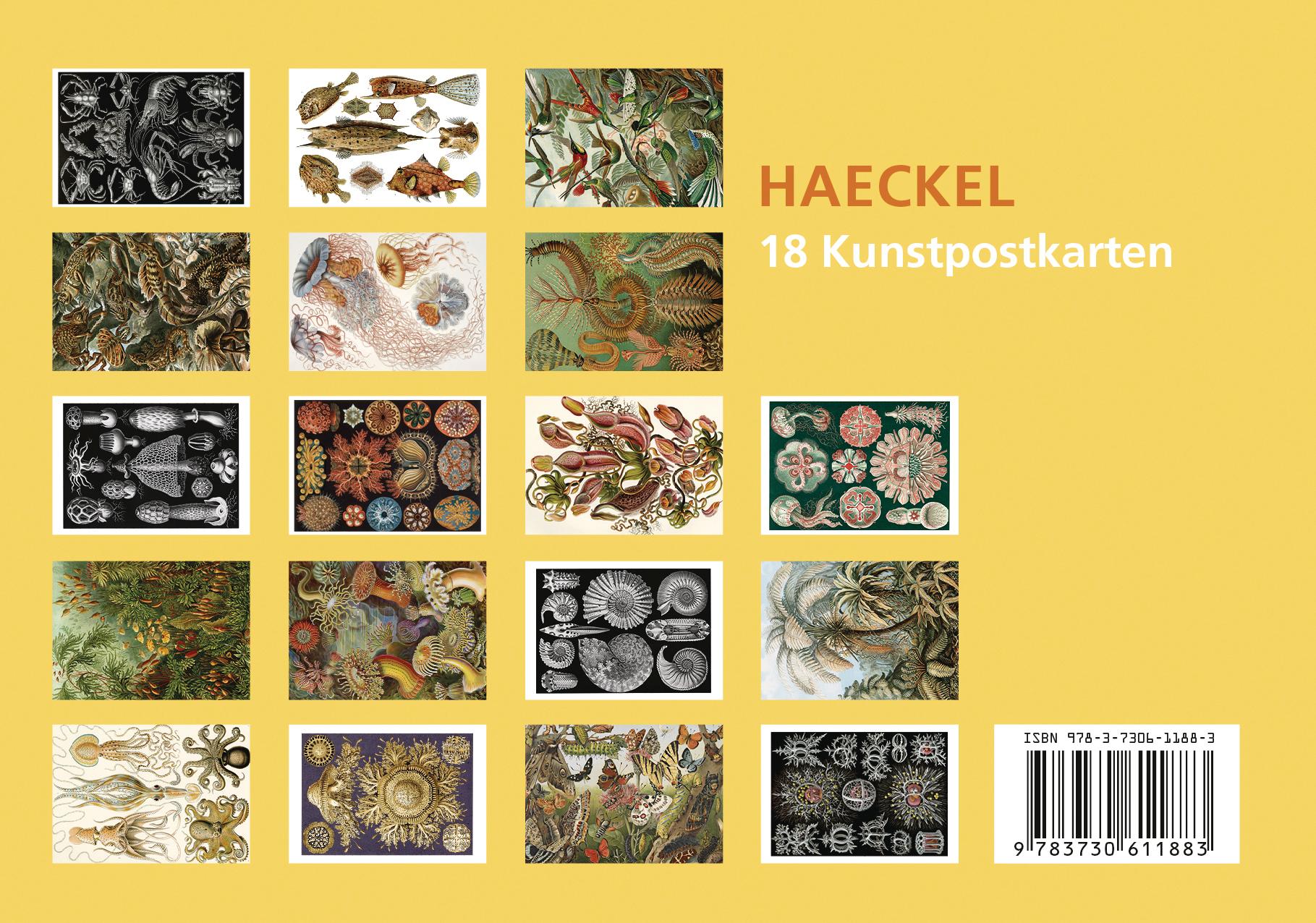 Beispielinhalt (Bild) Postkarten-Set Ernst Haeckel
