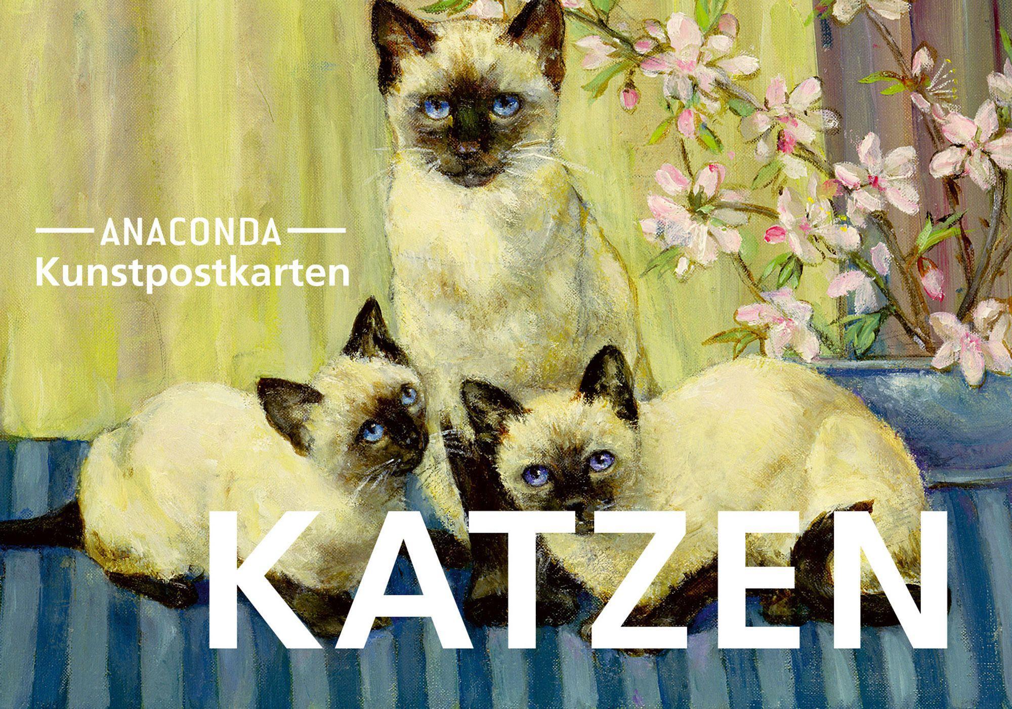 Vorderes Coverbild Postkarten-Set Katzen