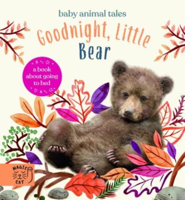 Vorderes Coverbild Goodnight, Little Bear