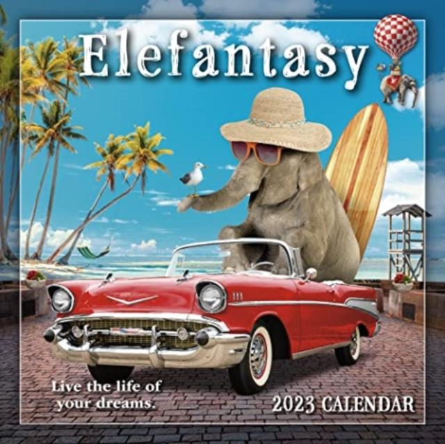 Vorderes Coverbild ELEFANTASY