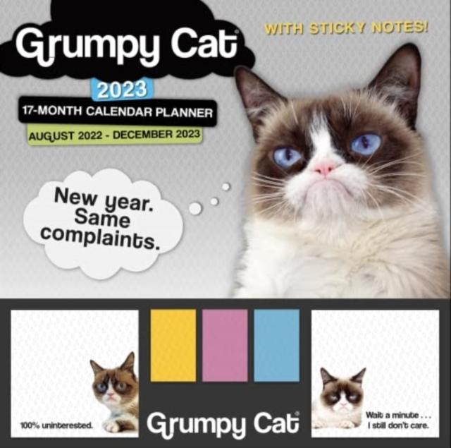 Vorderes Coverbild GRUMPY CAT ITS ALL DOWNHILL FROM HERE
