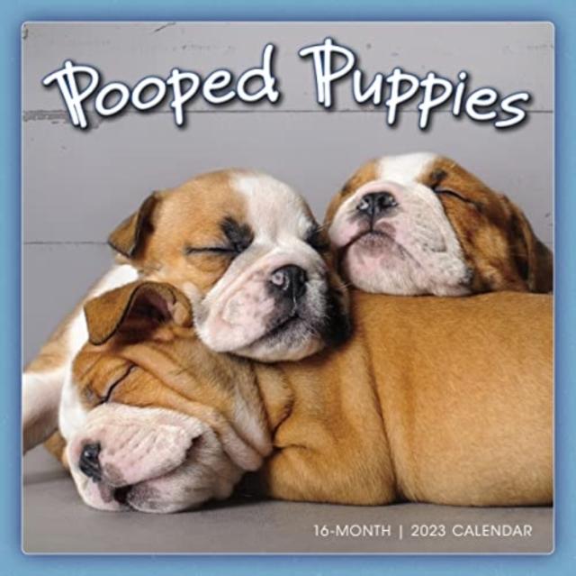 Vorderes Coverbild POOPED PUPPIES