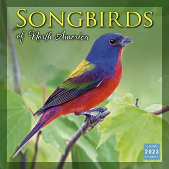 Vorderes Coverbild SONGBIRDS OF NORTH AMERICA