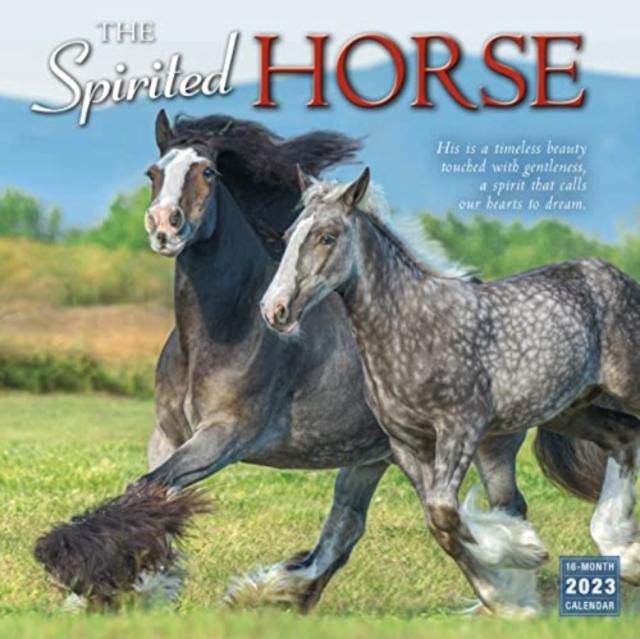 Vorderes Coverbild SPIRITED HORSE THE