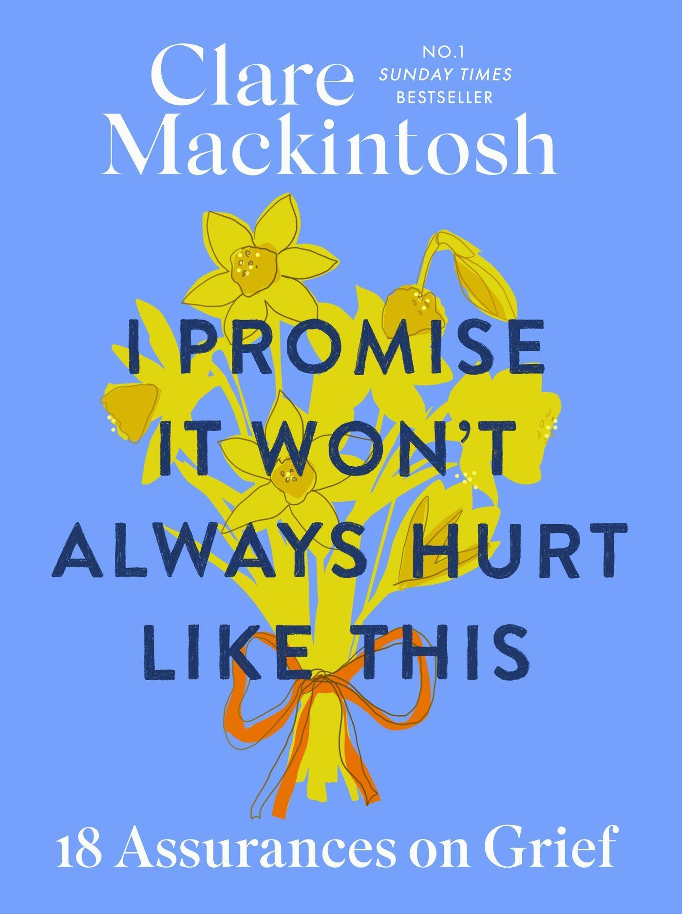 Vorderes Coverbild I Promise It Won't Always Hurt Like This