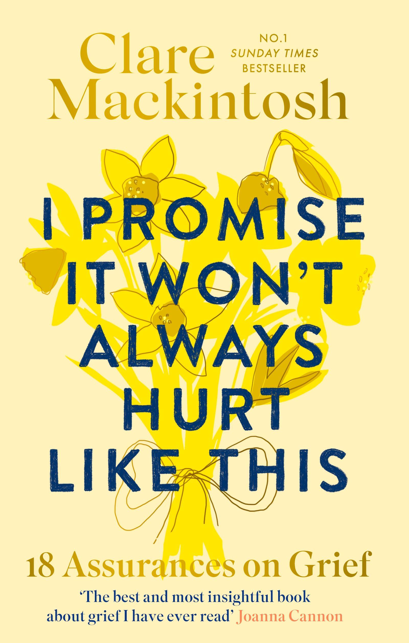 Vorderes Coverbild I Promise It Won't Always Hurt Like This