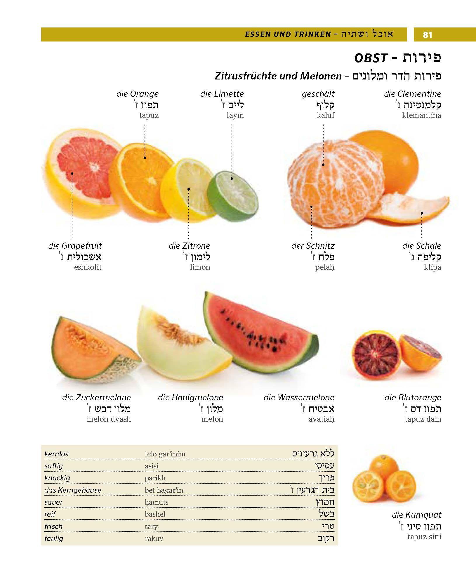 Beispielinhalt (Bild) PONS Bildwörterbuch Hebräisch