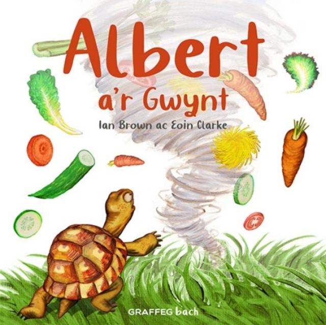 Vorderes Coverbild Albert a'r Gwynt