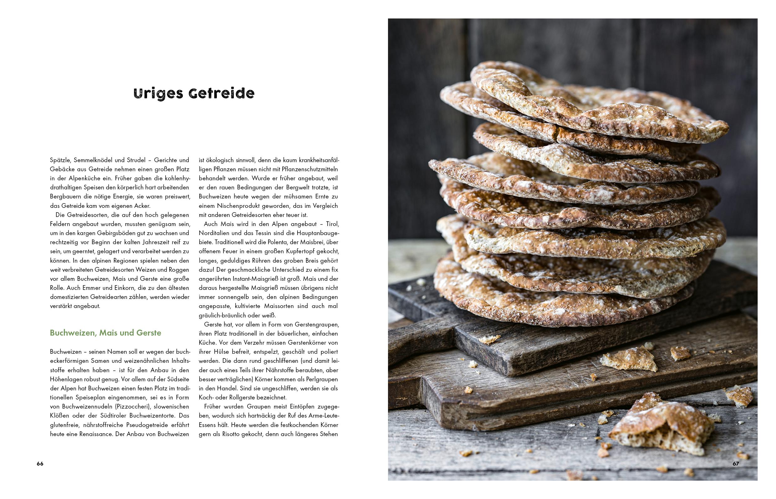 Beispielinhalt (Bild) Deftig vegetarisch - Alpenküche