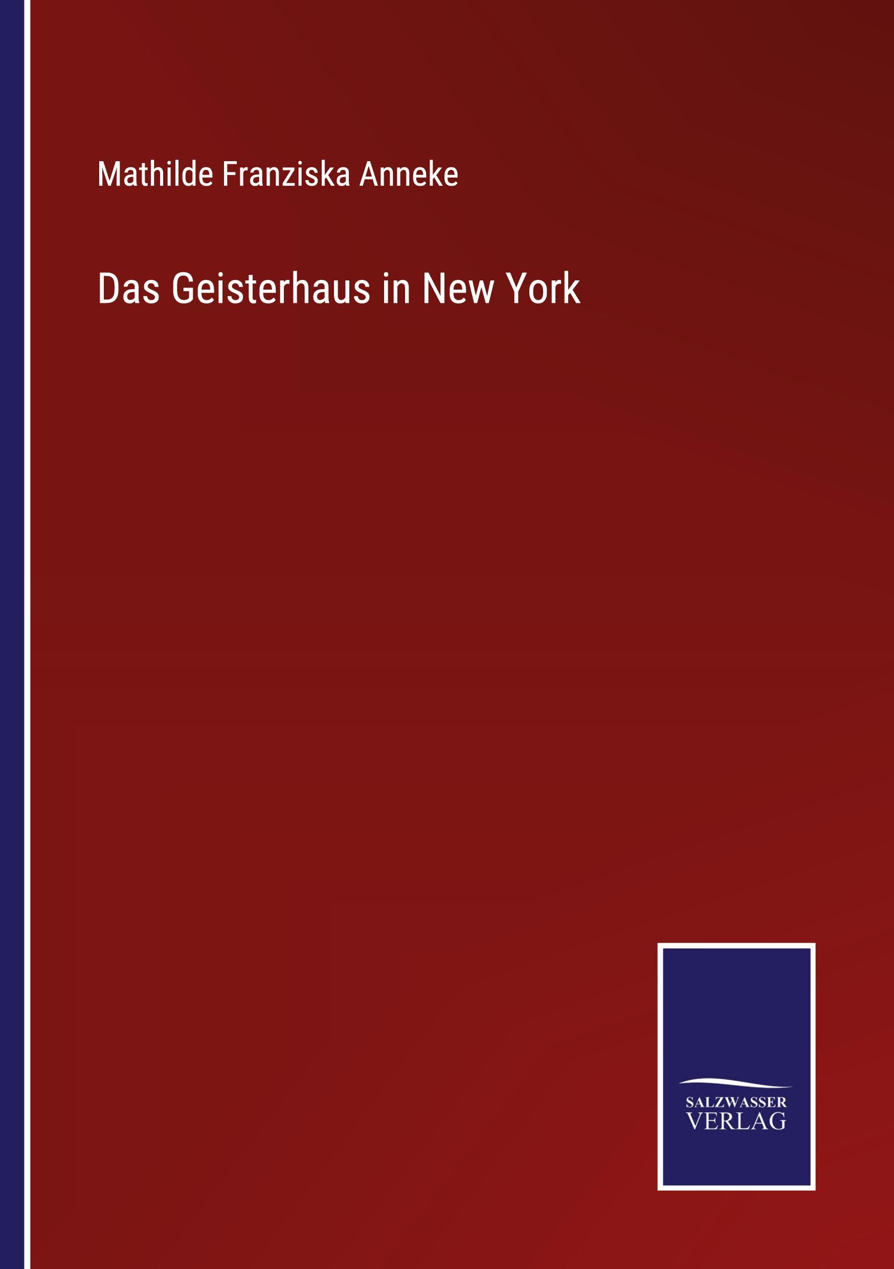 Vorderes Coverbild Das Geisterhaus in New York