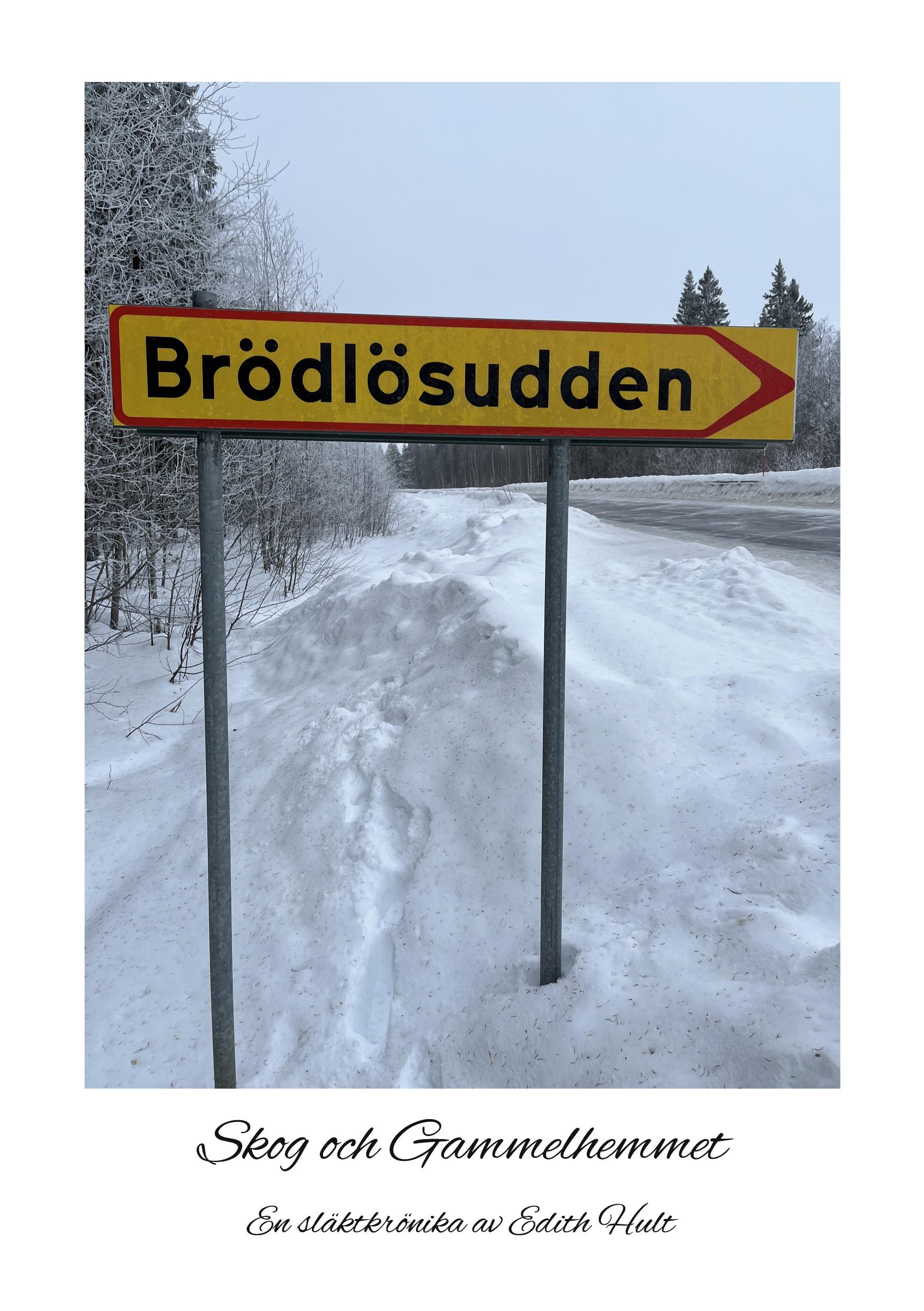 Vorderes Coverbild Brödlösudden