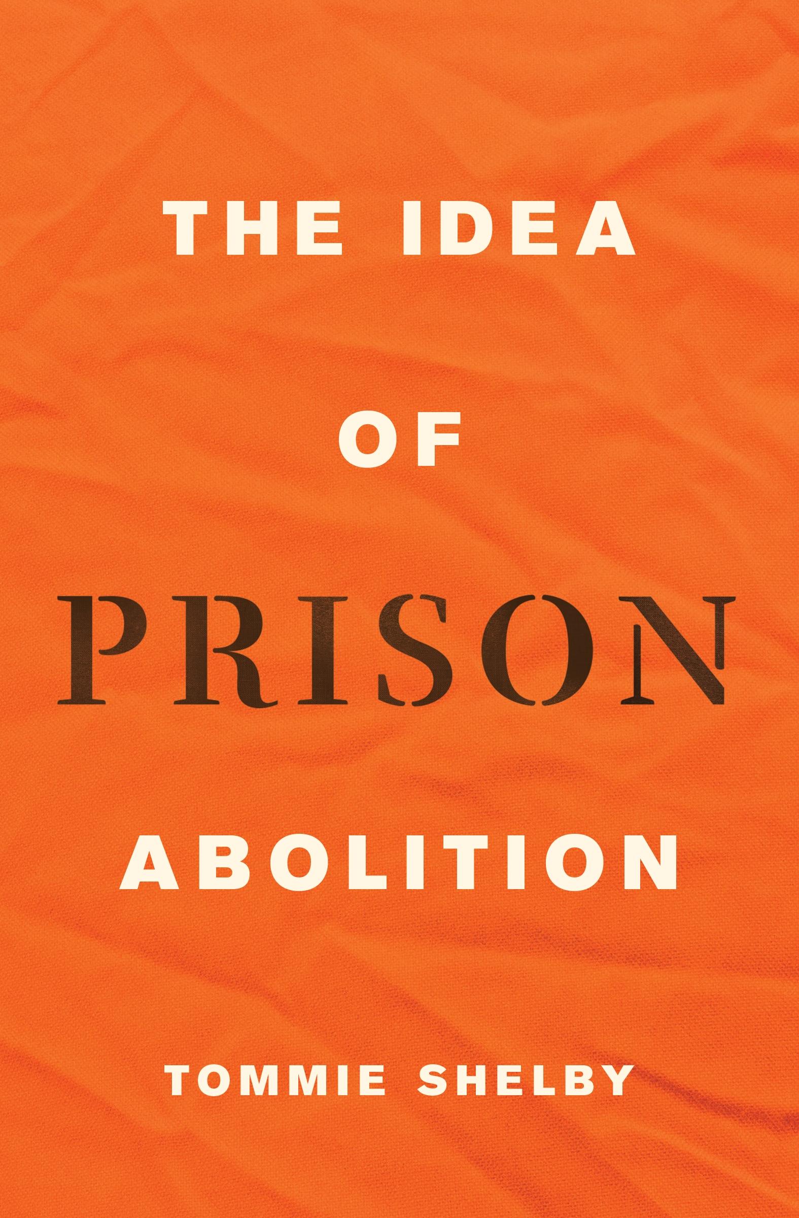 Vorderes Coverbild The Idea of Prison Abolition