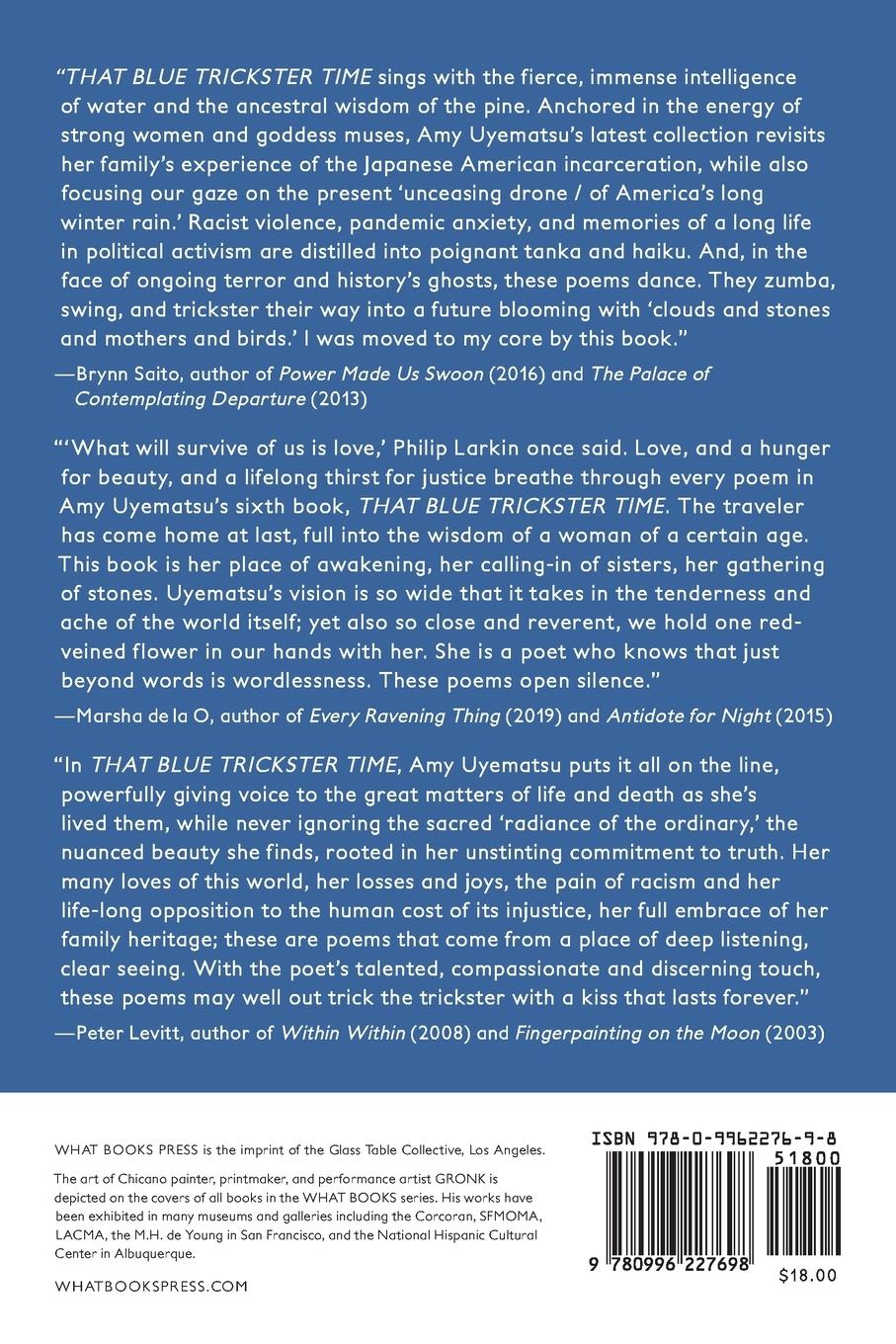 Rückseitencover That Blue Trickster Time