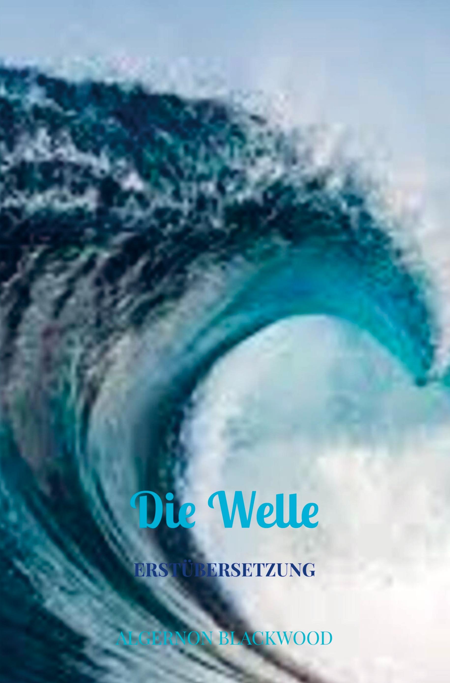 Vorderes Coverbild Die Welle